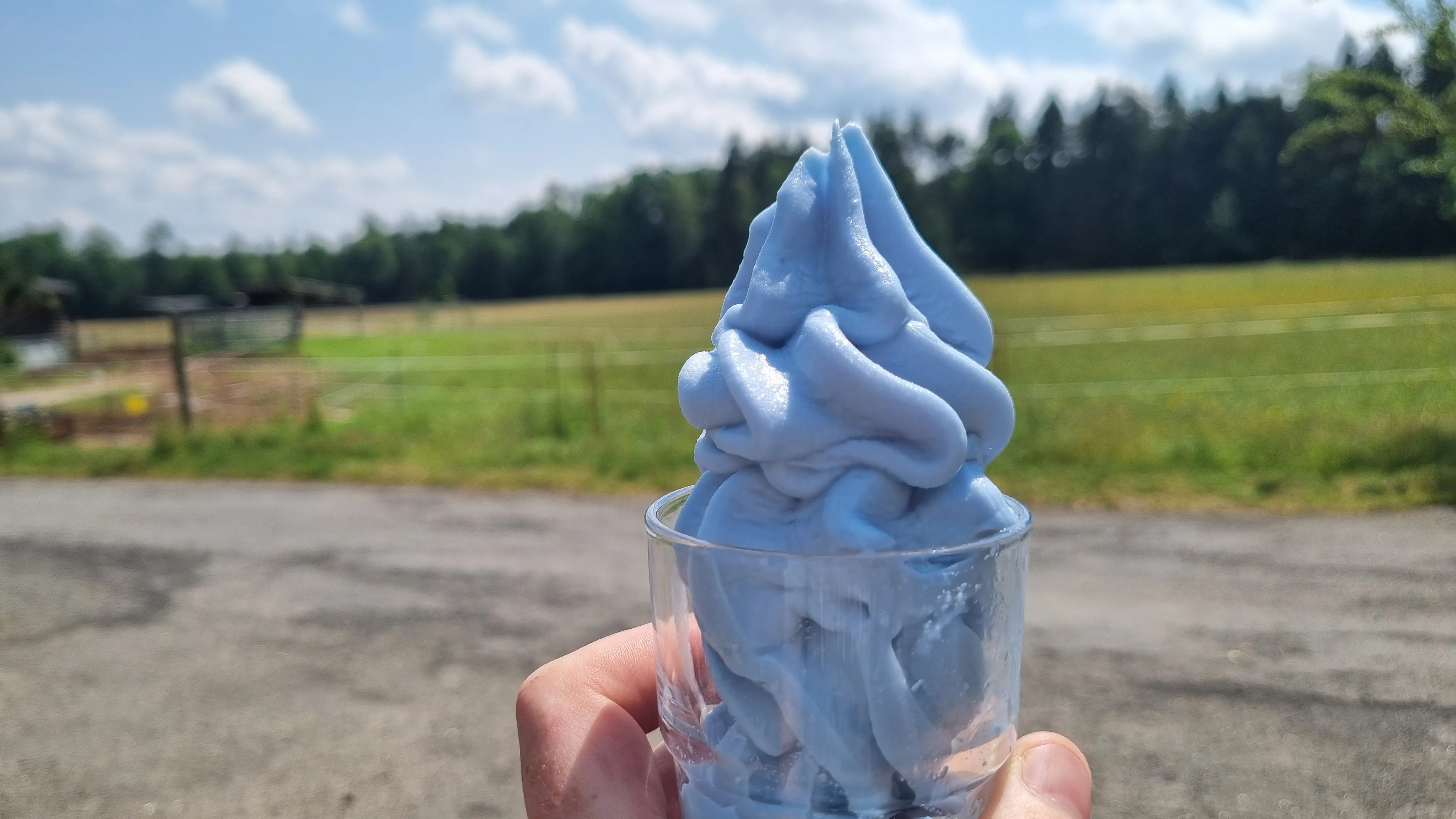Šmoulová