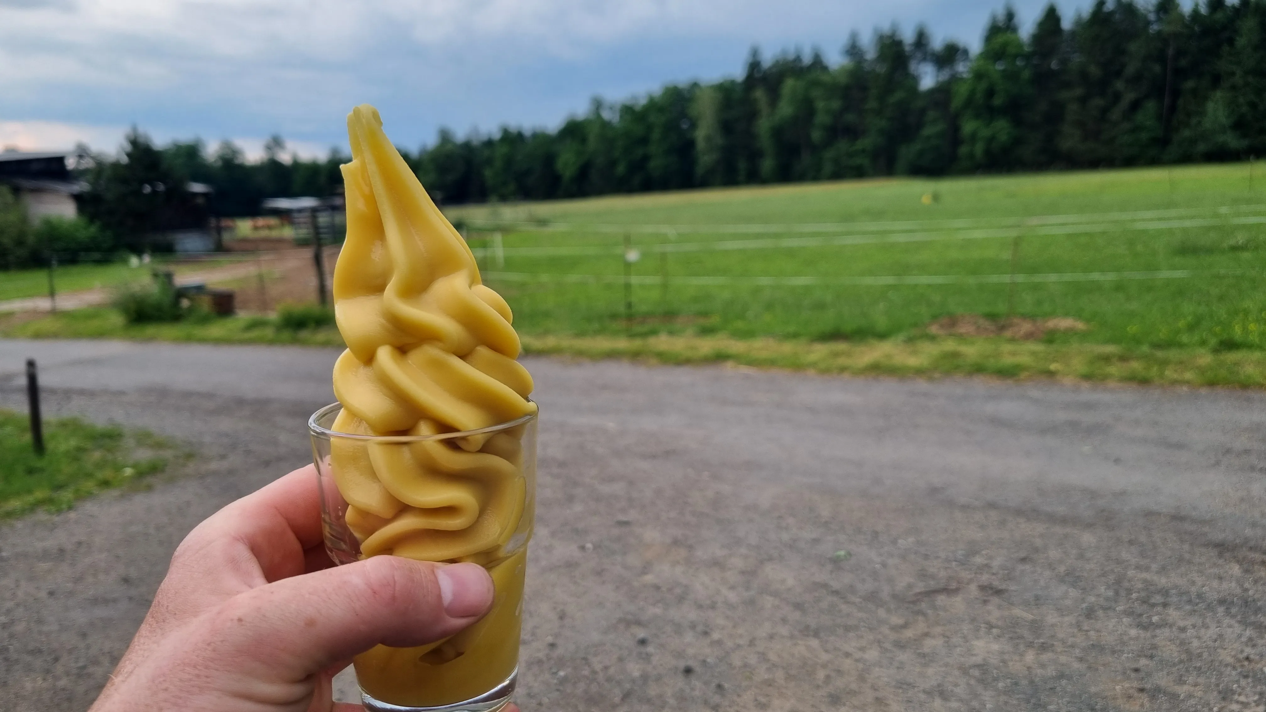 mango sorbet